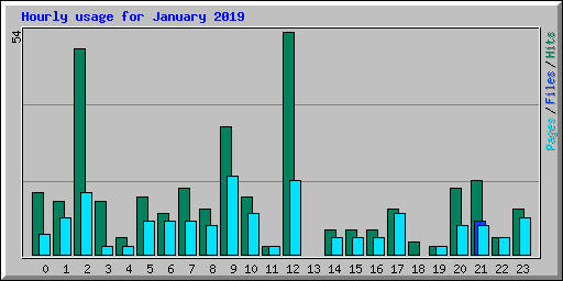 Hourly usage for January 2019